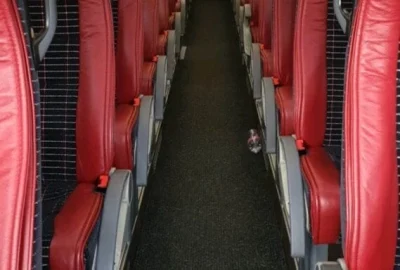 Vue intérieure d'un bus VanHool avec des sièges rouges confortables et un design spacieux.