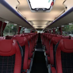 Vue intérieure d'un bus Temsa avec des sièges confortables rouges, idéal pour les trajets longues distances.